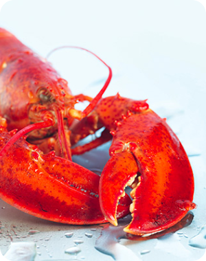 How to Choose and Cook Lobster