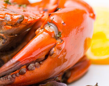 Everything You Need to Know About Seafood