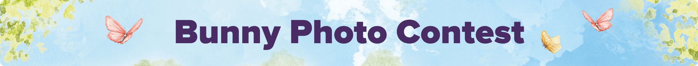 Bunny Photo Contest