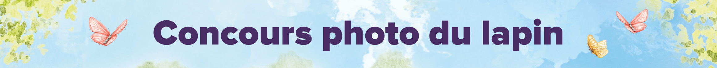 Concours photo du lapin