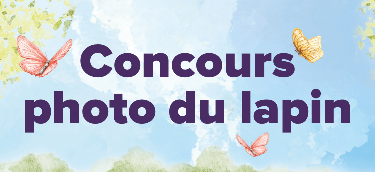 Concours photo du lapin