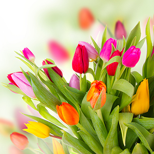 Un cadeau tout en fleurs... pour Pâques