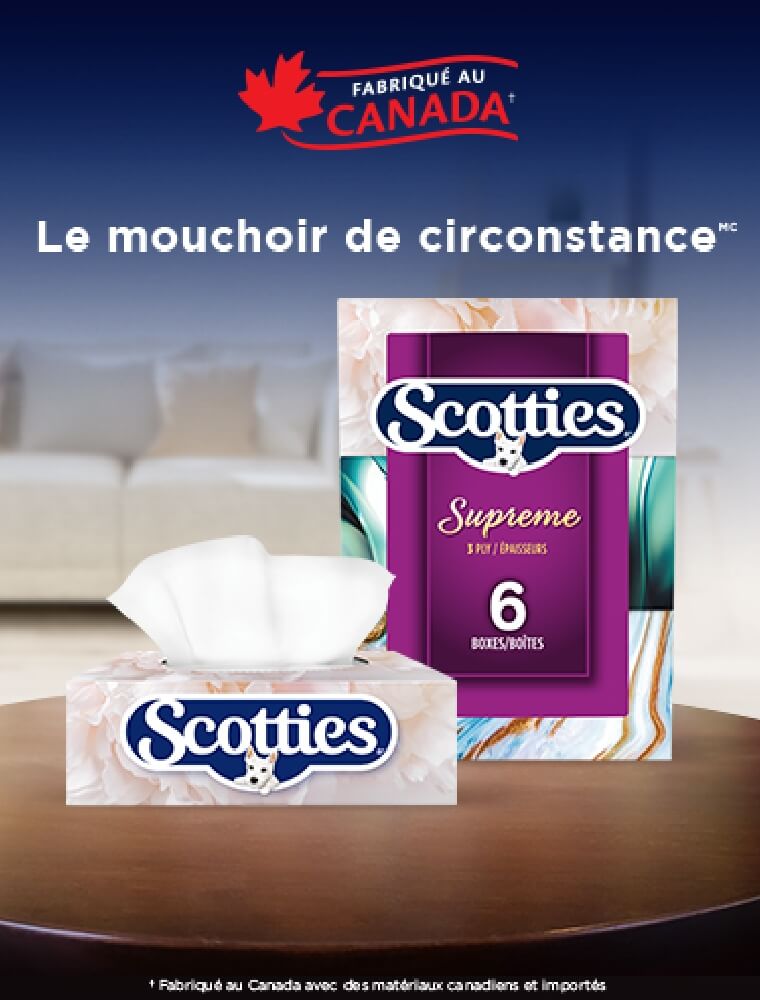 SCOTTIES Supreme 6 boîtes