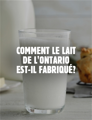 Comment le lait de l'Ontario est-il fabriqué