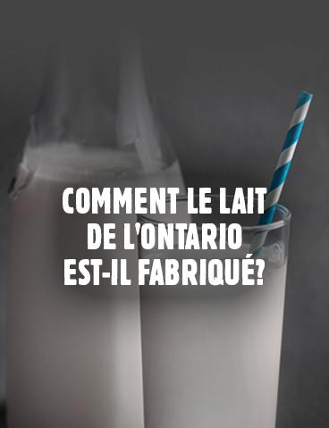 Comment le lait de l'Ontario est-il fabriqué