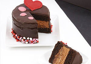 for-the-love-of-choclate-mini-cake_1