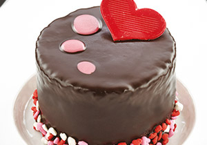 for-the-love-of-choclate-mini-cake_2