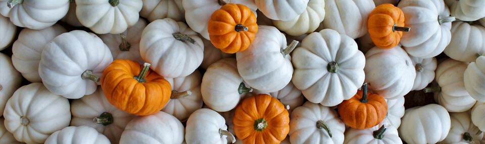 C'est l'Halloween êtes-vous prêts ?