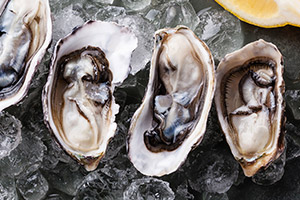 Cook oysters