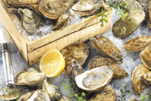 Oyster Parties