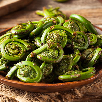 Fiddlehead Salad