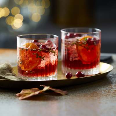 Cranberry-Ginger Spritzer