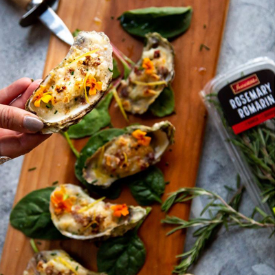 Oysters with Cauliflower Cream and Rosemary