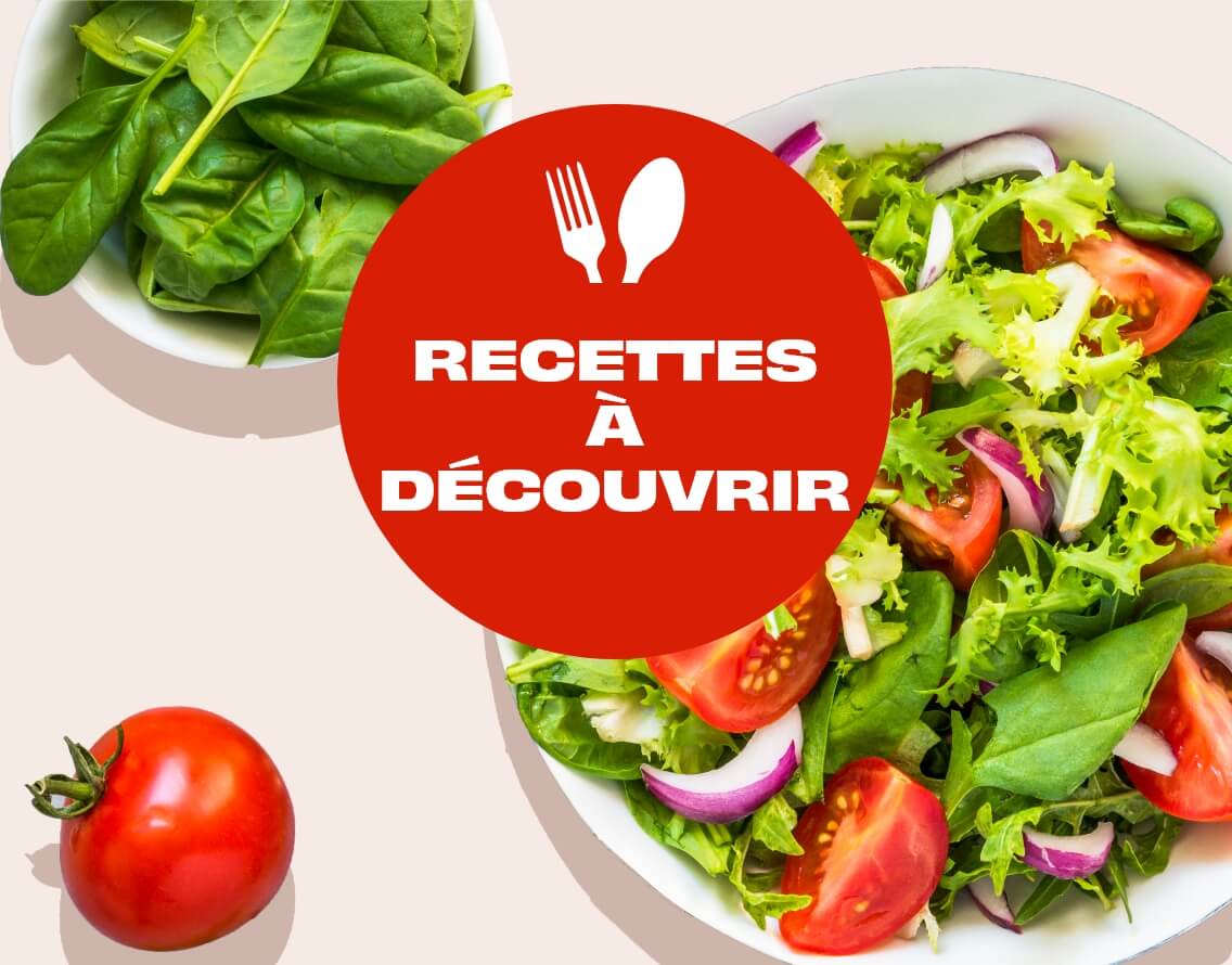 Recettes à découvrir