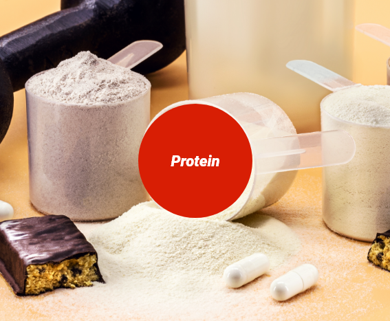 Protein