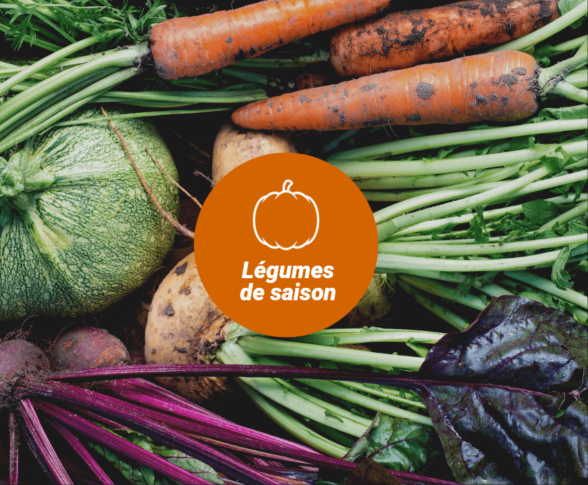 Légumes de saison